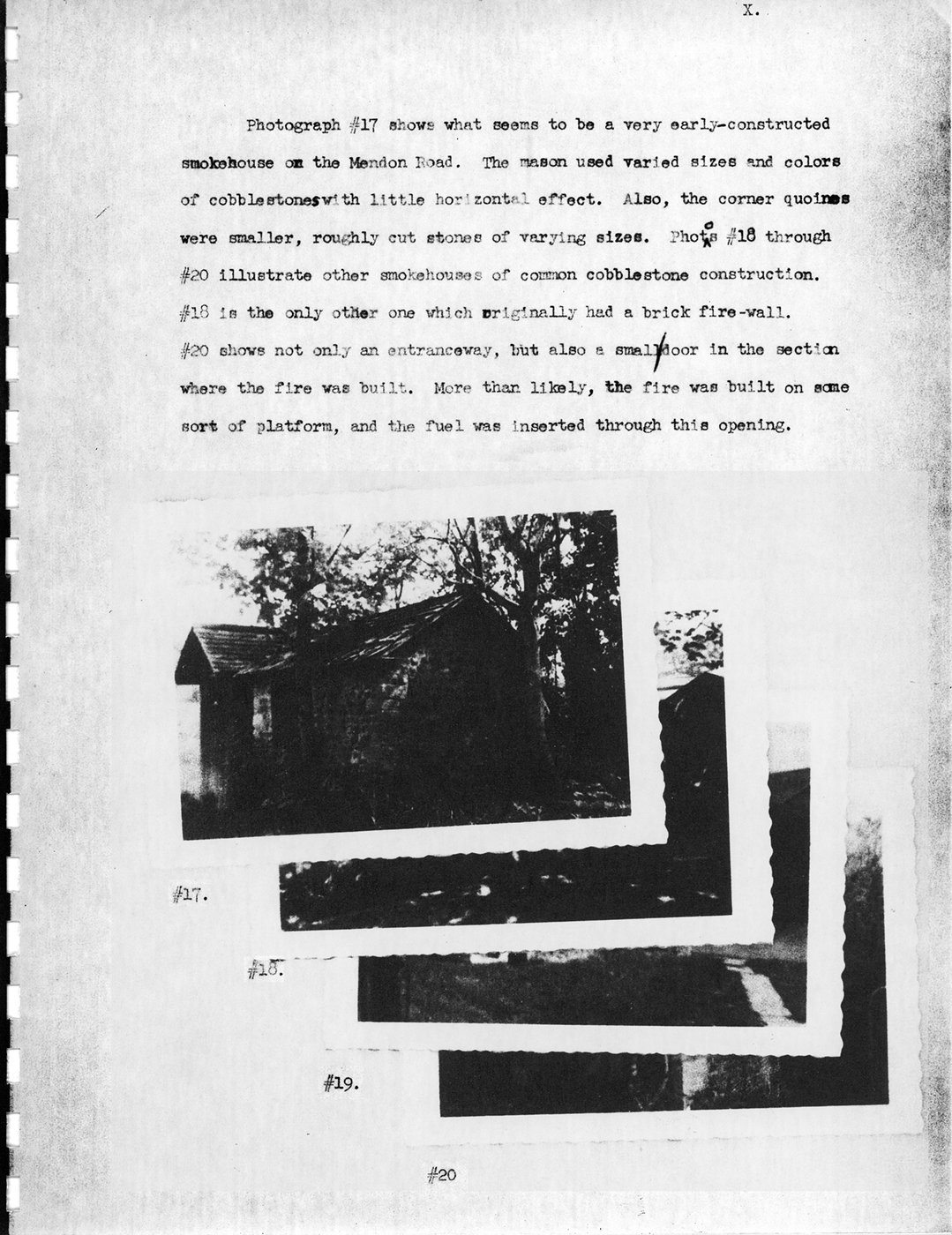 Wood Survey P10 19550618